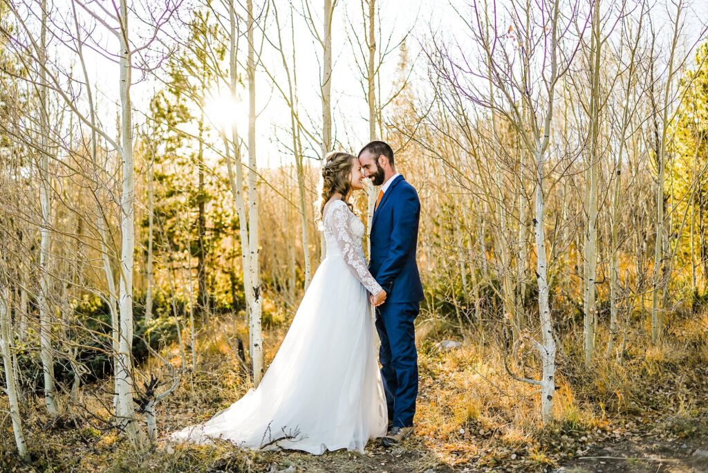 |||||||||||||||||||||||||||||||||||||||||